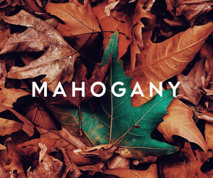 Mahogany adds Years to Learn to Spotify playlist