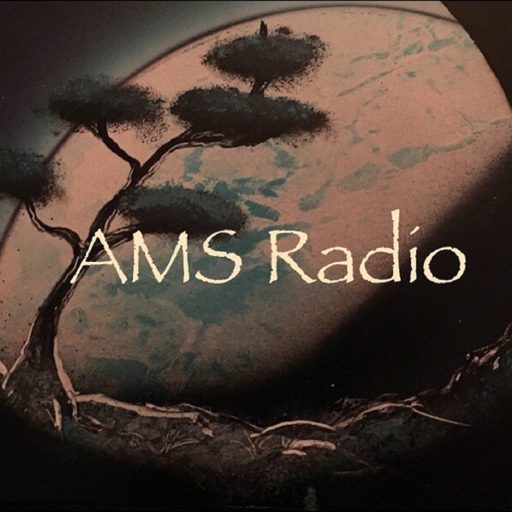 AMS Radio interviews Scott DL